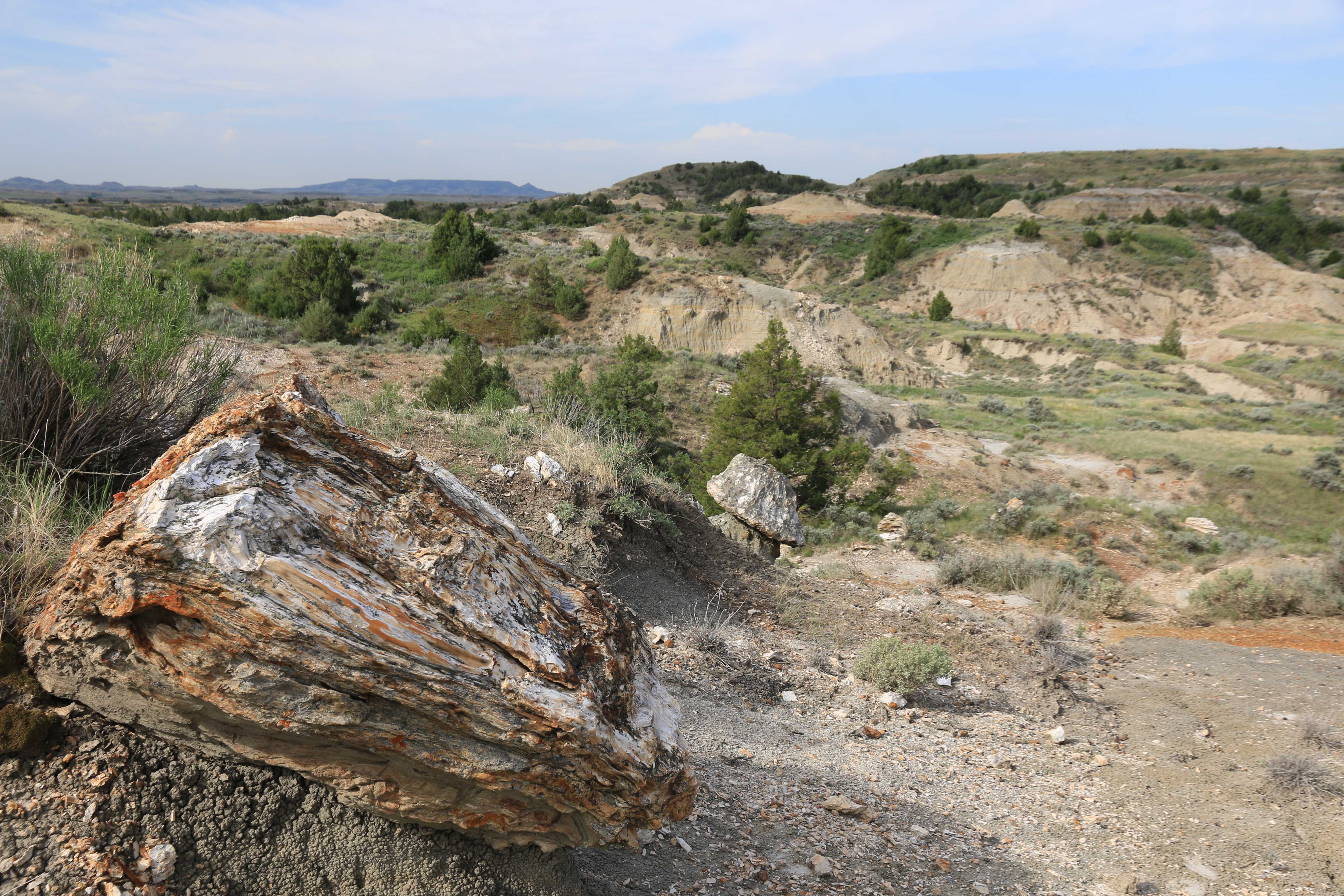 Theodore Roosevelt NP